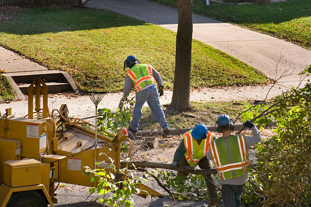 Best Lawn Irrigation Installation and Maintenance  in Shakopee, MN